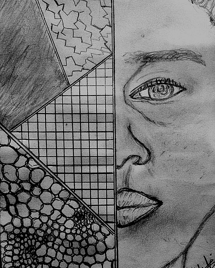 A drawing titled "REFLECTIONS" by Silvia E. Aleogho